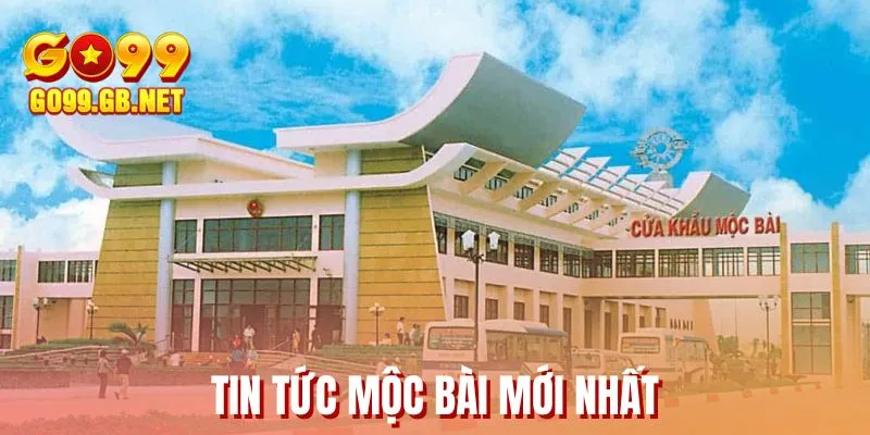 Tin tức mộc bài mới nhất